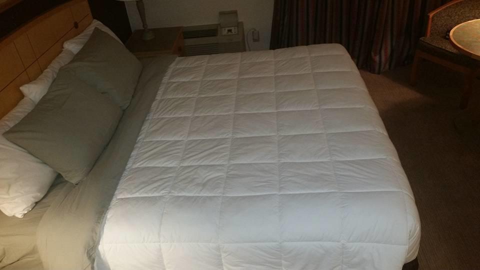 Canadas Best Value Inn Welland Extérieur photo
